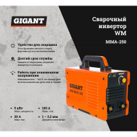 Gigant Сварочный инвертор WM MMA-250