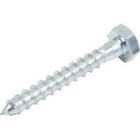 Сантехнический болт DIN 571 оцинкованный 10х70, 2шт - пакет Tech-Krep/Zitar 103882