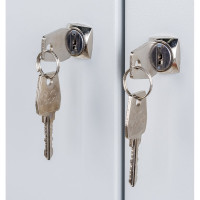 Шкаф ПАКС ШРМ-АК 125453