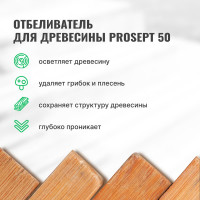 Отбеливатель для древесины PROSEPT 50 концентрат 1:1, 5 л 001-5