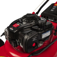 Бензиновая газонокосилка DDE LM 46-60 DB 246-654