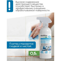 Очиститель известковых отложений Goodhim АНТИКАМЕНЬ 0.5 л 4026