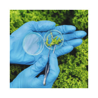 Нитриловые перчатки AVIORA HIGH RISK р.L, 50 шт. 402-663