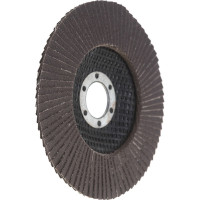 Круг лепестковый универсальный (125х22 мм,  А240, 14А) Tsunami КЛТ1 D96100000012585