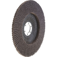 Круг лепестковый универсальный (150х22 мм,  А36, 14А) Tsunami КЛТ1 D96100000015036