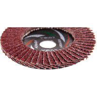 Круг лепестковый торцевой плоский КЛТ1 (125х22 мм; А 24; 14А 80/Р24) Луга 4603347338018