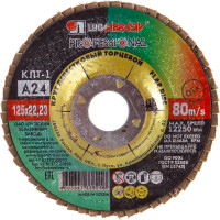 Круг лепестковый торцевой плоский КЛТ1 (125х22 мм; А 24; 14А 80/Р24) Луга 4603347338018