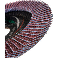 Круг лепестковый торцевой плоский КЛТ1 (150х22 мм; А 40; 14А 40/Р40) Луга 4603347276273