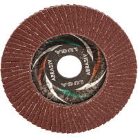 Круг лепестковый торцевой плоский КЛТ1 (125х22 мм; А 60; 14А 25/Р60) Луга 4603347337974