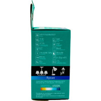 Светодиодная лампа Camelion LED10-G45/865/E27 10Вт 220В 13570