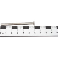 Винт с потайной головкой ЕВРОПАРТНЕР DIN 965 5х60 нержав. сталь 4 шт. G2 2560 1