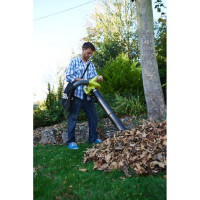 Бензиновая воздуходувка Ryobi RBV26B 3002353