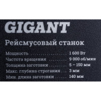 Gigant Рейсмусовый станок TPJ-320-1600