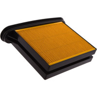 Фильтр складчатый из целлюлозы для пылесоса Bosch GAS 25 EURO Clean EUR BGPM-25