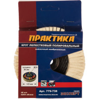 Круг лепестковый полировальный (125 мм; М14) ПРАКТИКА 779-738
