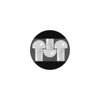 Застежка 3М SJ4570 ДУАЛОК, адгезив акр., прозр. 4607166908216