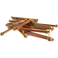 Анкерный болт с гайкой Tech-Krep 10х125 20 шт - пакет 124325