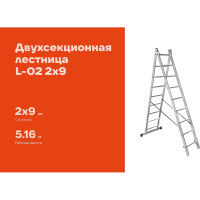 Двухсекционная лестница 9 ступеней Gigant L-02 2х9