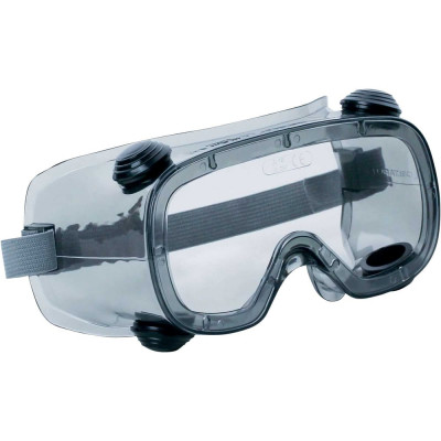 Закрытые защитные очки Delta Plus RUIZ1 с прозрачной линзой RUIZ1VI