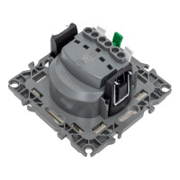 Розетка ЭРА 12-2103-04 2P+E Schuko со шторками с крышкой, 16A-250В, IP20, шампань Б0014696