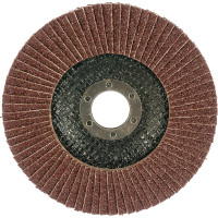 Диск лепестковый абразивный (125х22.2 мм; зерно 40) Targ 663404