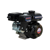 Двигатель LIFAN 160F D19 00-00000610