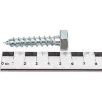 Сантехнический болт DIN 571, оцинкованный, 10x50 мм, 2 шт. в пакете Zitar 102593