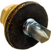 Кровельный саморез Саморезик 5,5х19 RAL1014 слоновая кость 250шт SKRAL1014-5,5х19-250