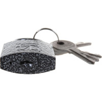 Навесной замок Аллюр HG-330C ВС1Ч-330 полимер 5 ключей 3392