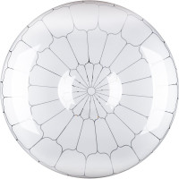 Потолочный светодиодный светильник Lumin'arte 12Вт, 6000К Холодный свет, освещает 8 кв.метров C01LLW12W