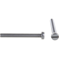 Винт с цилиндрической головкой, с прямым шлицем ЕВРОПАРТНЕР DIN 84 6x50 нержав. сталь 4 шт. G2 4265 1