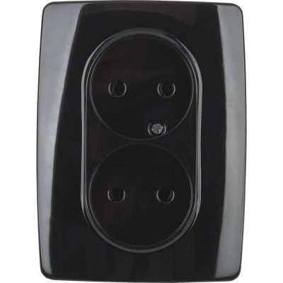 Розетка ЭРА 12-2107-06 2X2P, 16A-250В, IP20, 12, чёрный Б0031243