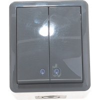 Двойной выключатель с подсветкой ЭРА 11-1405-03 IP54, 10АХ-250В, ОУ, Эксперт, серый Б0020678