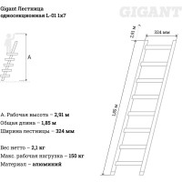 Gigant Лестница односекционная L-01 1x7