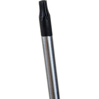 Inforce Отвертка TORX ProExpert T20x100 06-09-68