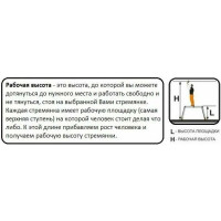 Универсальная лестница с дополнительной функцией 3х10 Krause Corda 013408