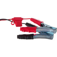 Насос PIUSI Carry 3000 24/12V F0022400C