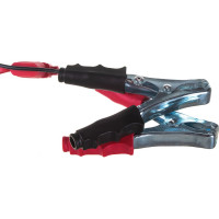 Насос PIUSI Carry 3000 inline 12 V F00223260