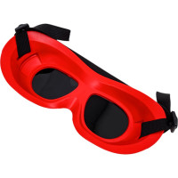 Защитные очки РОСОМЗ ЗН18 DRIVER RIKO 5 21831 закрытые, с непрямой вентиляцией