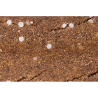 Мультикомпонентная загрузка Экотар В (25 л) Гейзер 40081