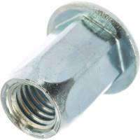 Заклепка с внутренней резьбой Bralo 6-гранная М8 СТ-ЦБ 250 шт 0311108011