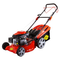 Бензиновая газонокосилка DDE LM 46-60 D 246-647