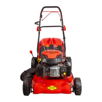 Бензиновая газонокосилка DDE LM 51-60 D 246-678