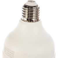 Светодиодная лампа ЭРА LED smd POWER 30W-4000-E27 Б0027003