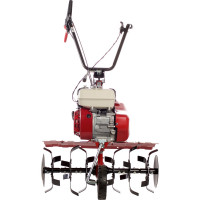 Мотокультиватор Eurosystems Euro 5 EVO RM S R Honda GX160 946450260