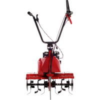 Мотокультиватор Eurosystems Euro 5 EVO RM S R Honda GX160 946450260