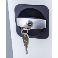 Шкаф ПАКС ШАМ-11-400 125445