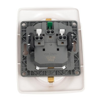 Розетка ЭРА 12-2106-15 2X2P+E Schuko, 16A-250В, IP20, перламутр Б0031237