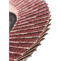 Круг лепестковый торцевой плоский КЛТ1 (115х22 мм; А 80; 14А 20/Р80) Луга 4603347275627