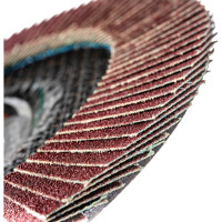 Круг лепестковый торцевой плоский КЛТ1 (180х22 мм; А 80; 14А 20/Р80) Луга 4603347276556